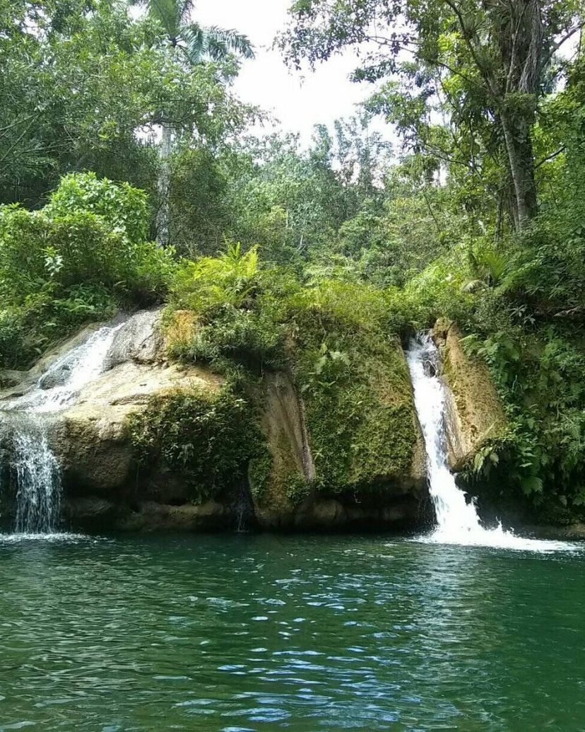 "Lomas de Banao" Ecological Reserve, Santi Spíritus, Cuba.