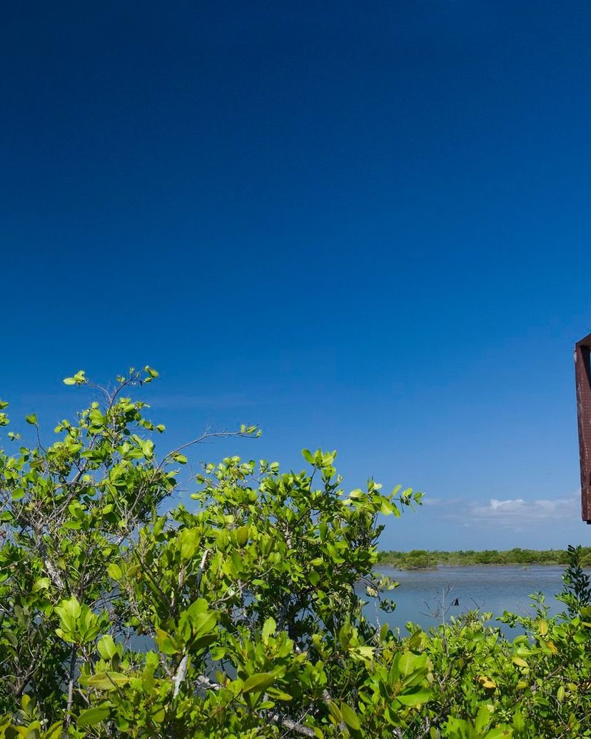 "HIKING AND BIRD WATCHING AT LAS SALINAS DE BRITO" Tour, Zapata peninsula, Matanzas, Cuba.