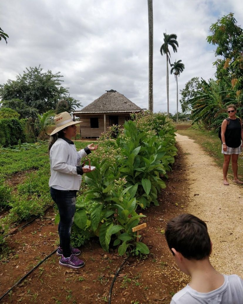 La María Farm, Morón, Ciego de Avila, Cuba
