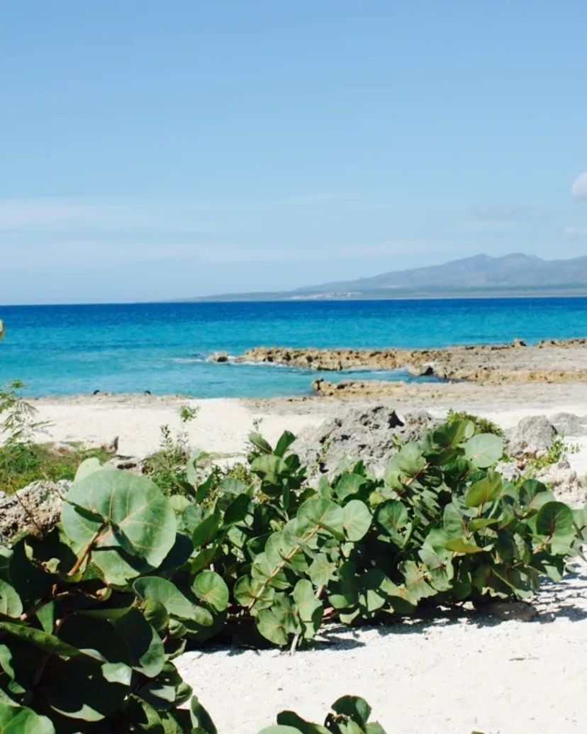 Tour "SNORKELING AT PLAYA LA BATEA", Playa Ancón, Trinidad, Sancti Spíritus, Cuba.