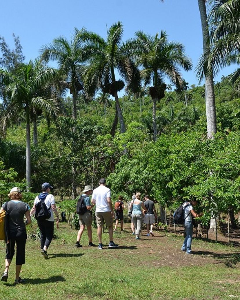 "Sendero el contento" tour, Las Terrazas. Artemisa, Cuba.