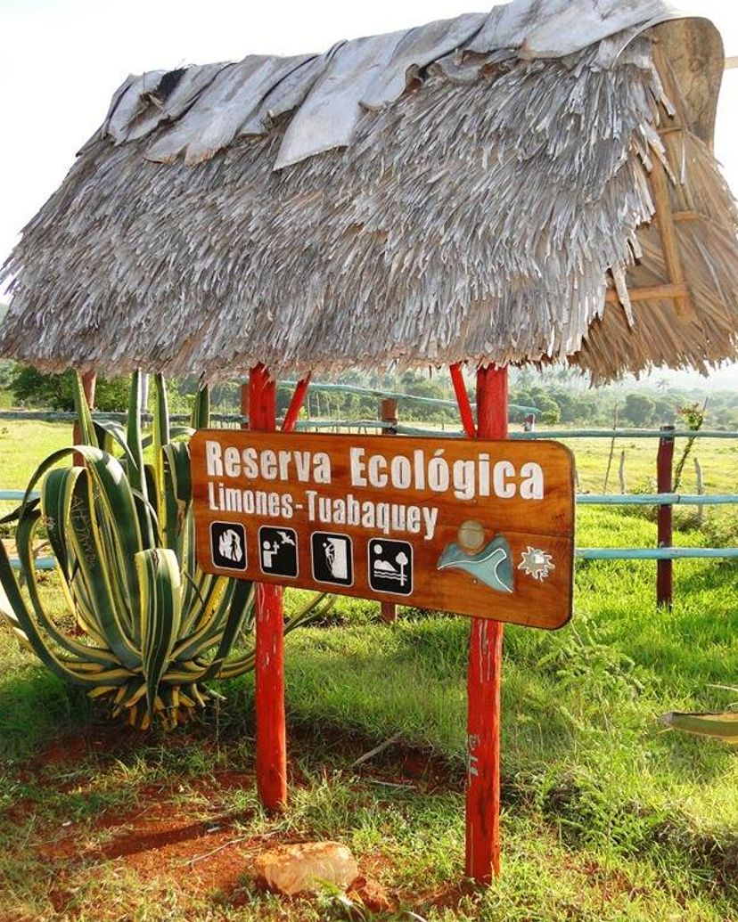 Limones Tuabaquey Ecological Reserve, Sierra de Cubitas, Camagüey, Cuba.