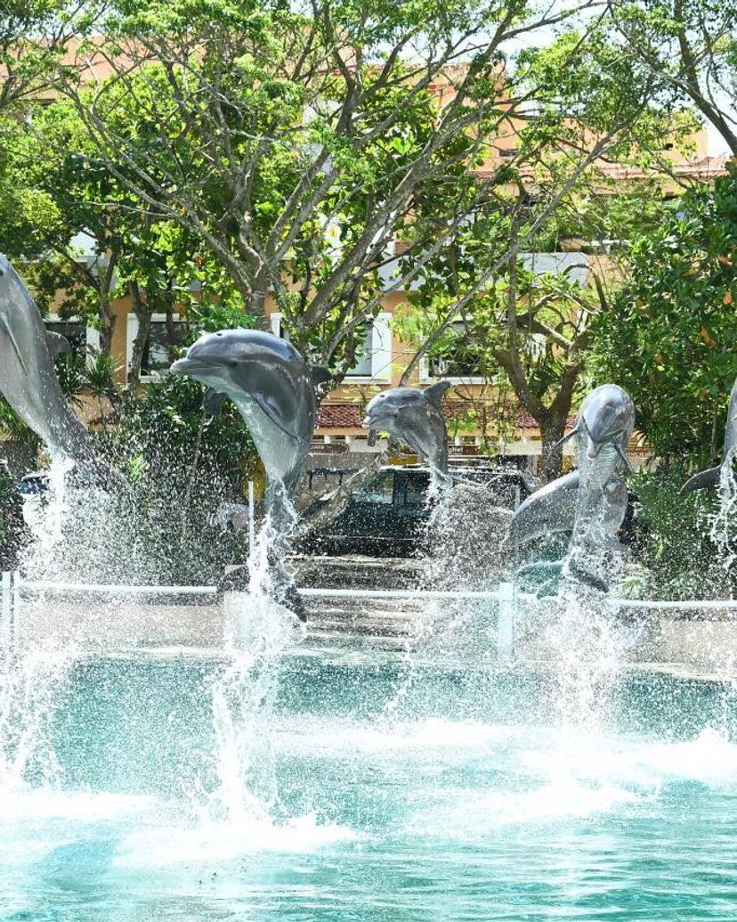 "Dolphins Royal Swim in Riviera Maya" Tour