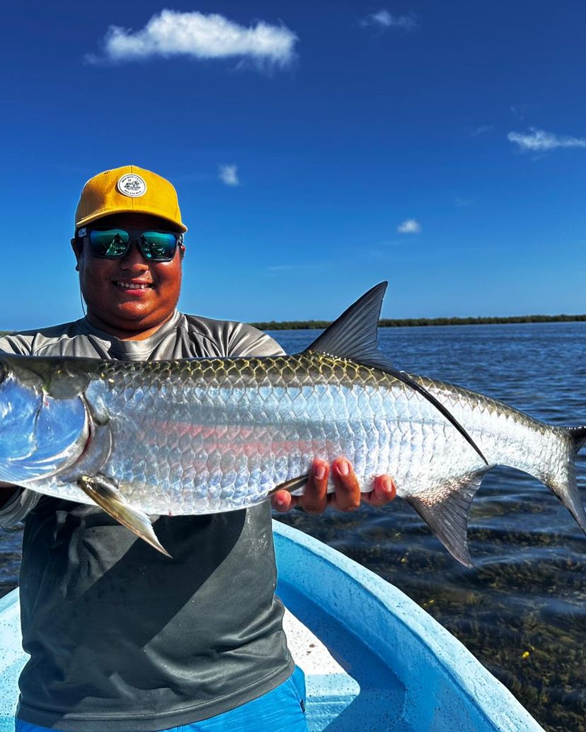 "RECREATIONAL FISHING TOUR IN RÍO LAGARTOS — 6 HOURS (SPINNING/TROLLING)" Tour, Río Lagartos, Yucatán, Mexico.