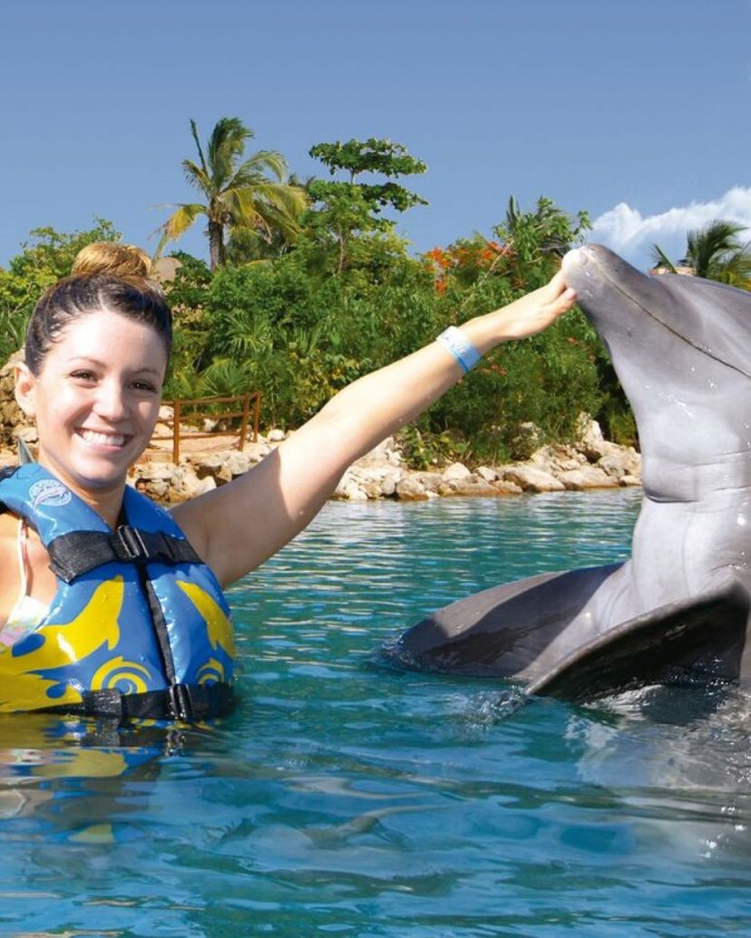 "Dolphins Swim Adventure in Riviera Maya" Tour