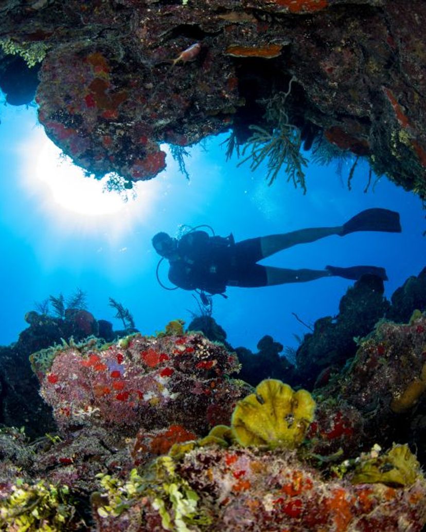 “Scuba Diving Tour in Cayo Largo del Sur”