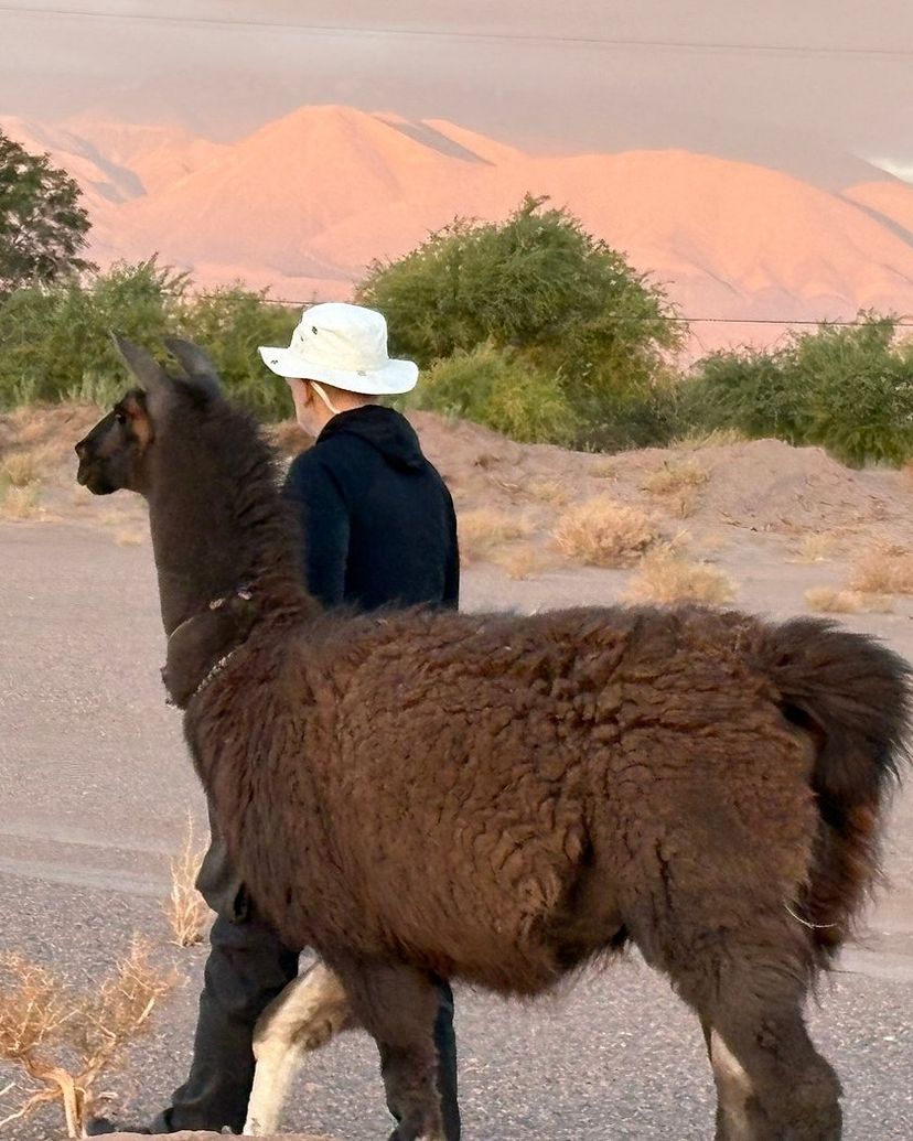 "TURIKUNZA EXPERIENCE" PREMIUM Tour, San Pedro de Atacama, Chile.