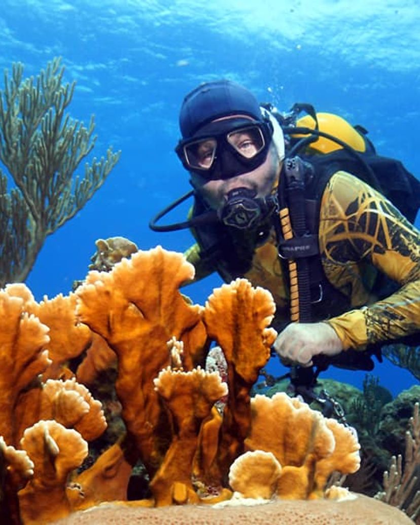 Diving in Daiquiri Beach" Tour
