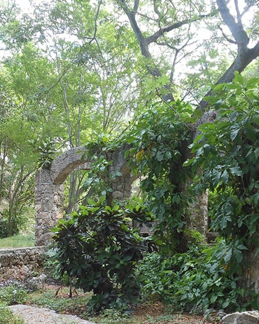 Metropolitan Park, Tour "Havana also green"
