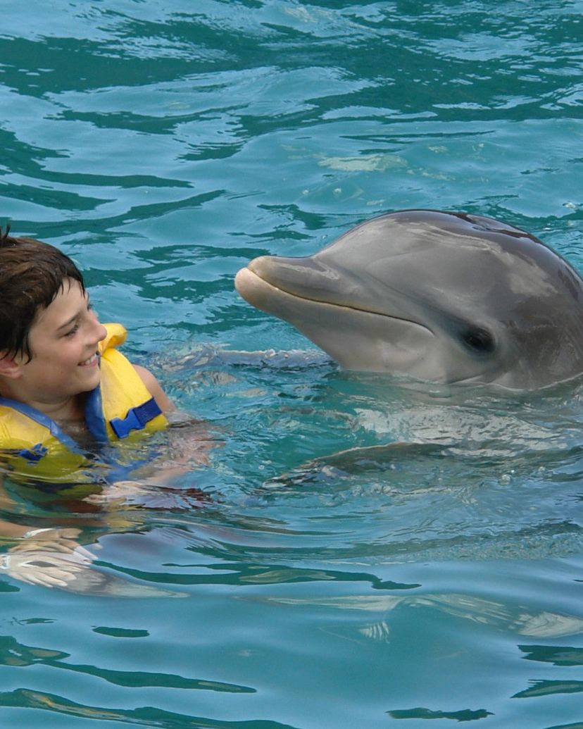 Swimming with dolphins tour at Bahía de Naranjo dolphinarium, Playa Esmeralda, Holguín, Cuba.