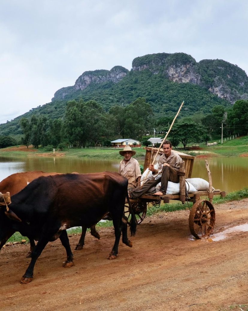 The tobacco farmers, traditions and customs, Viñales valley