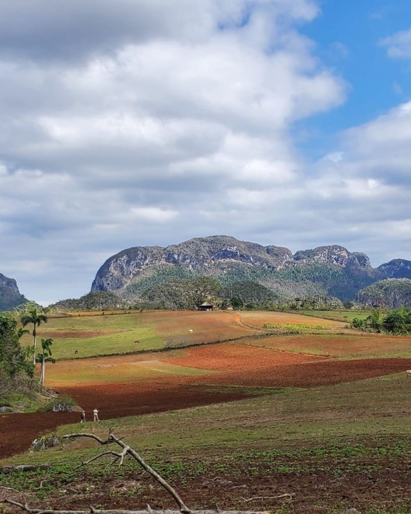 The Palmarito Valley panoramic view, Viñales Valley, Pinar del Río, Cuba.