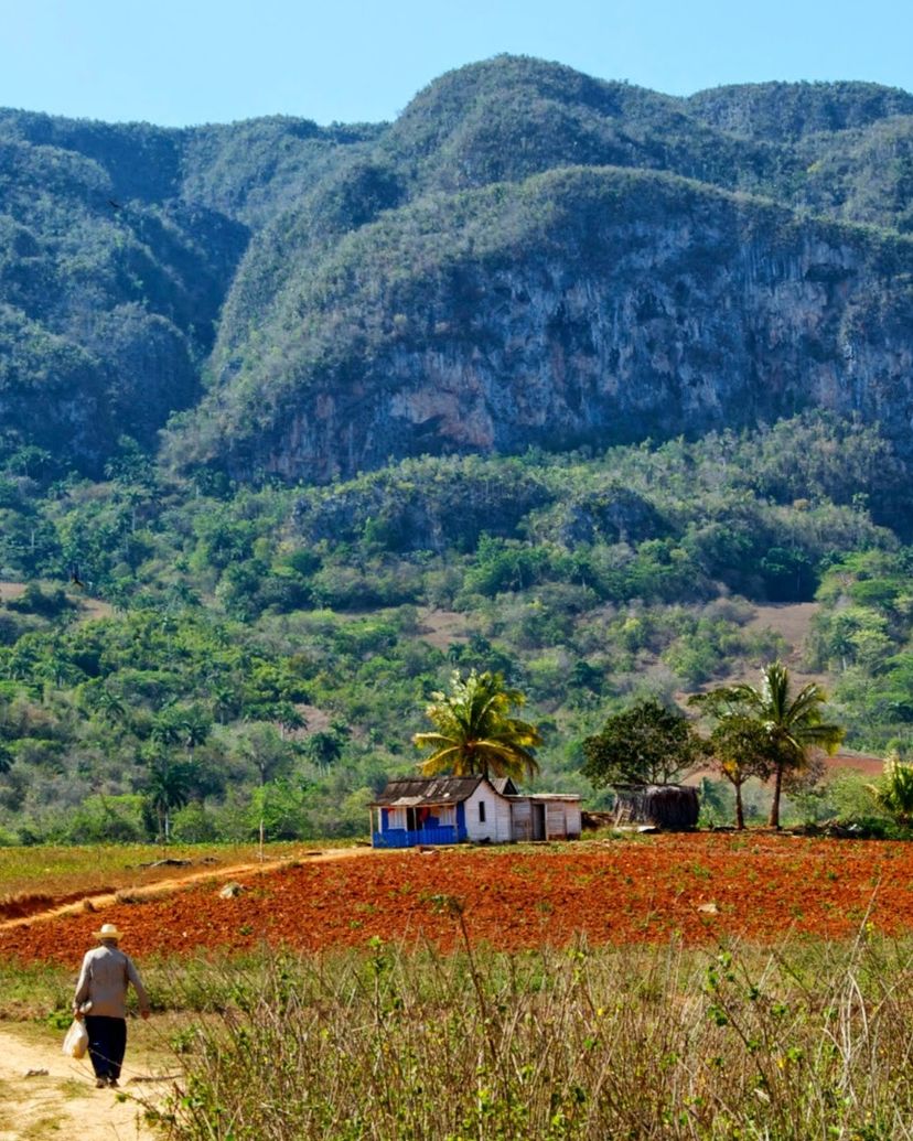 Viñales valley National Park, declared a Cultural Heritage Site by UNESCO, Pinar del Río. “Visit to Viñales” Tour