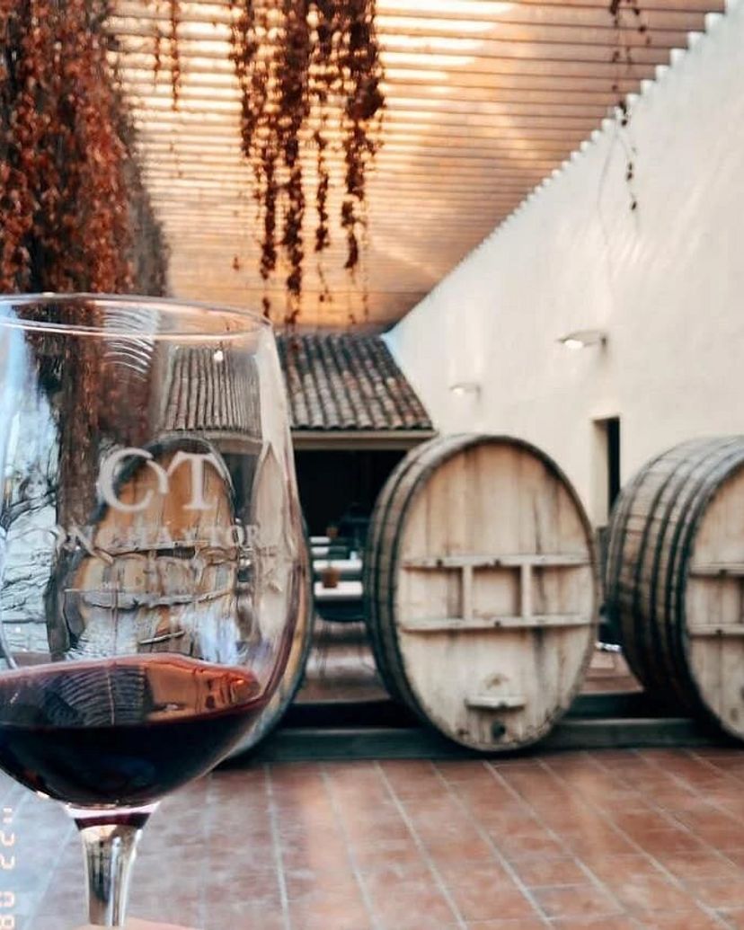 “CONCHA & TORO WINERY” Tour, Chile.