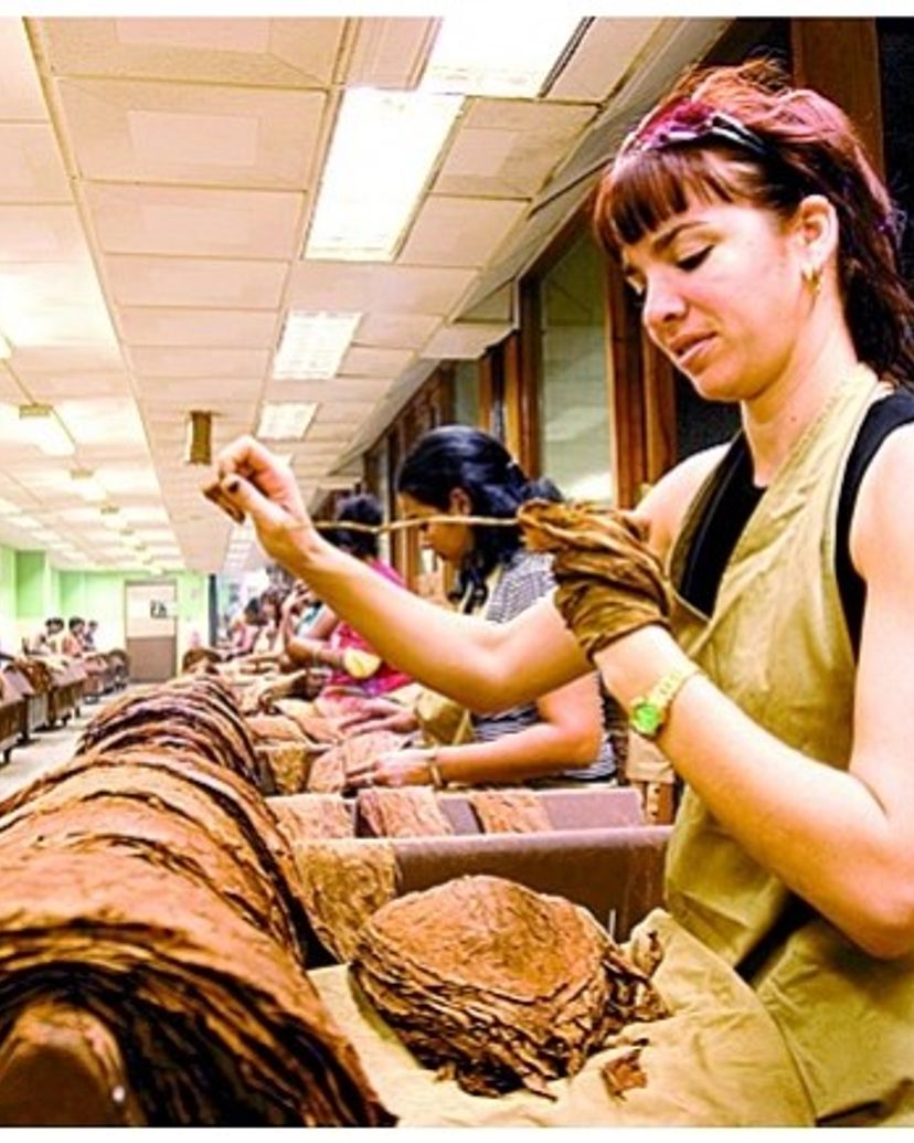 Jesús Feliú Tobacco Factory. “MYTHS, CULTURE AND TRADITIONS” Tour, Holguín, Cuba.