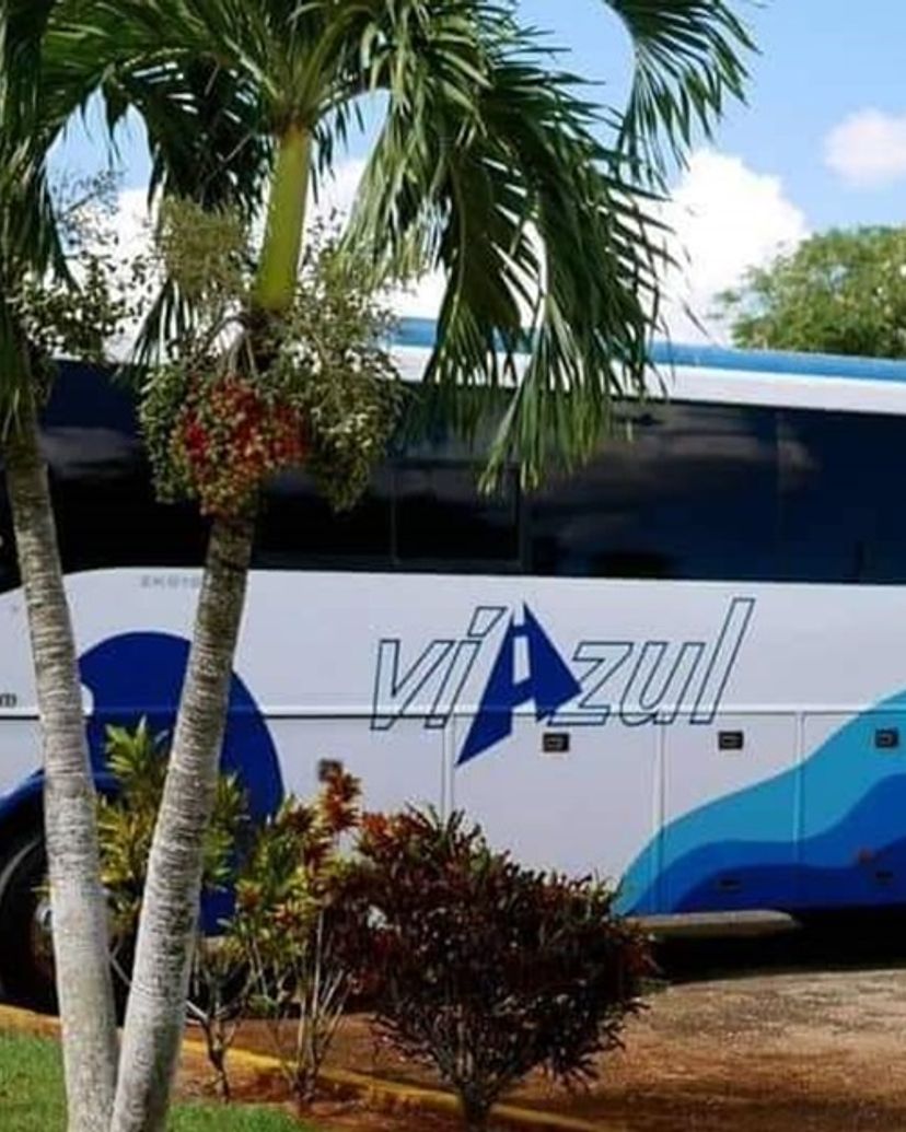 “VIAZUL CUBA: HAVANA / PLAYA LARGA / PLAYA GIRÓN / CIENFUEGOS / TRINIDAD“ Collective Transfer Services