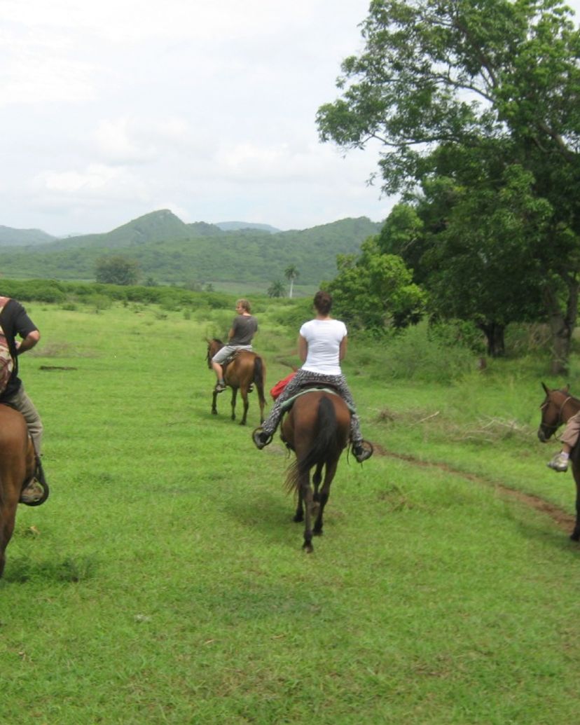 “Horseback Riding La Pastora – Sugar Mills Valley – Javira Waterfall” Tour, Trinidad.