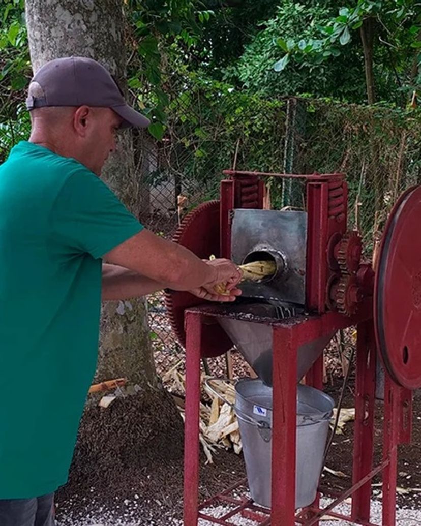 La María farm, Jardines del Rey, Morón, Ciego de Ávila, Cuba.