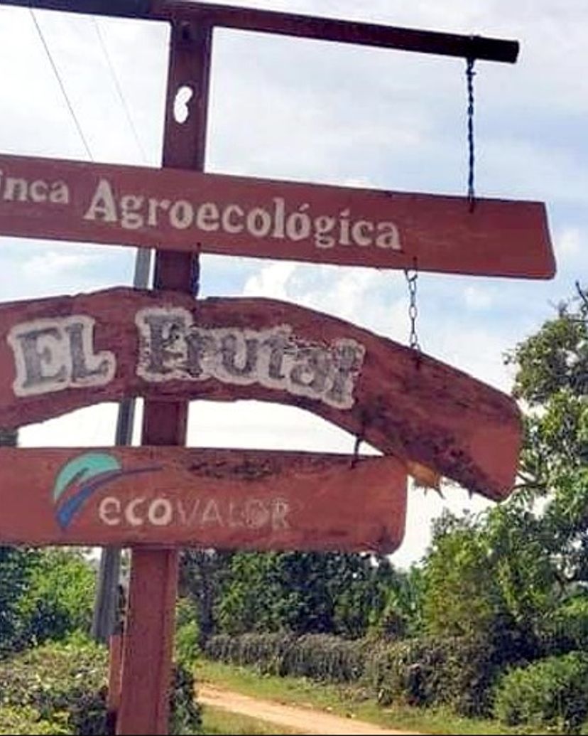 Visite "VISITE D'UNE FERME AGRICOLE"