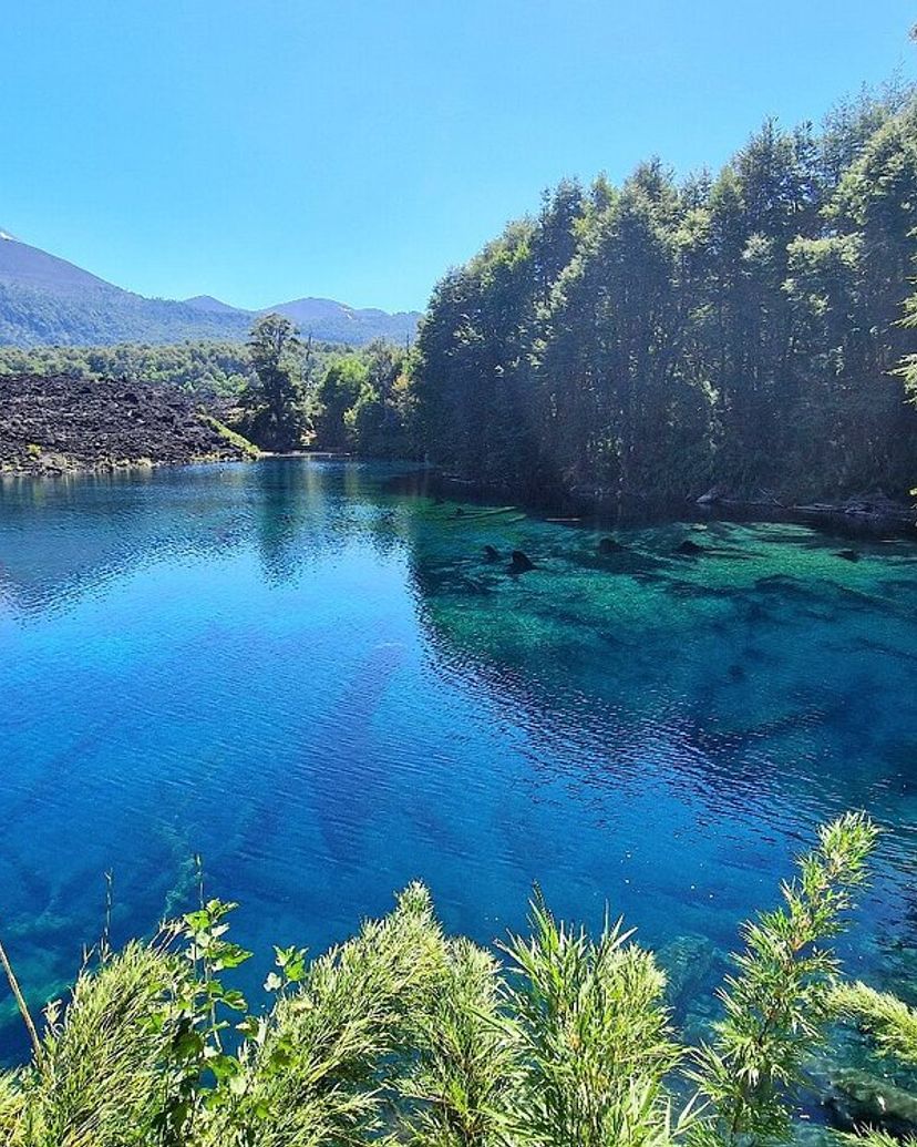Excursão “TRILHA NO PARQUE NACIONAL HUERQUEHUE”