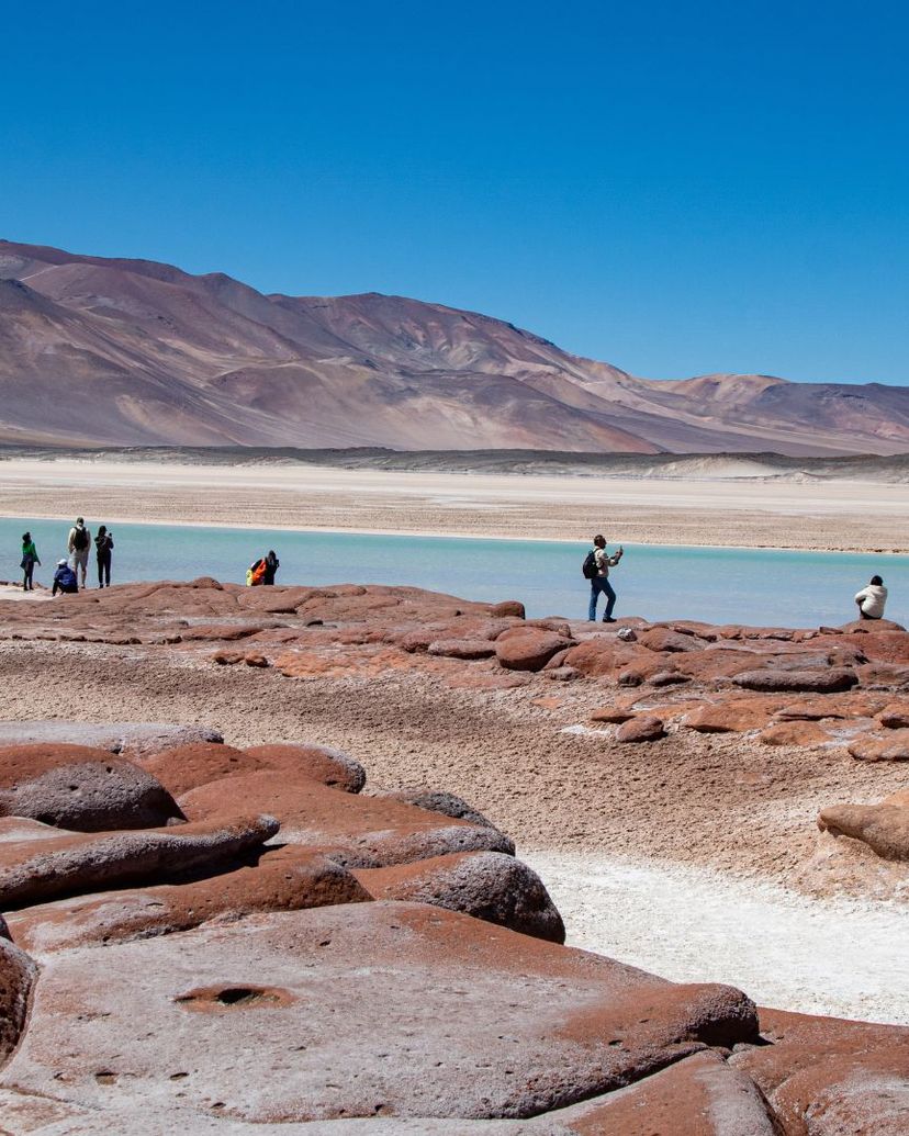 Excursión “PIEDRAS ROJAS Y LAGUNAS ALTIPLÁNICAS”