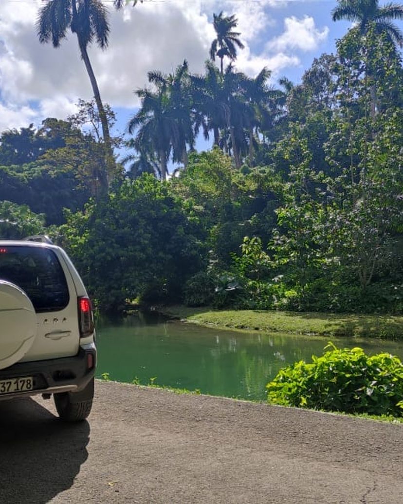 Jeep Safari “NATURE TOUR LAS TERRAZAS”