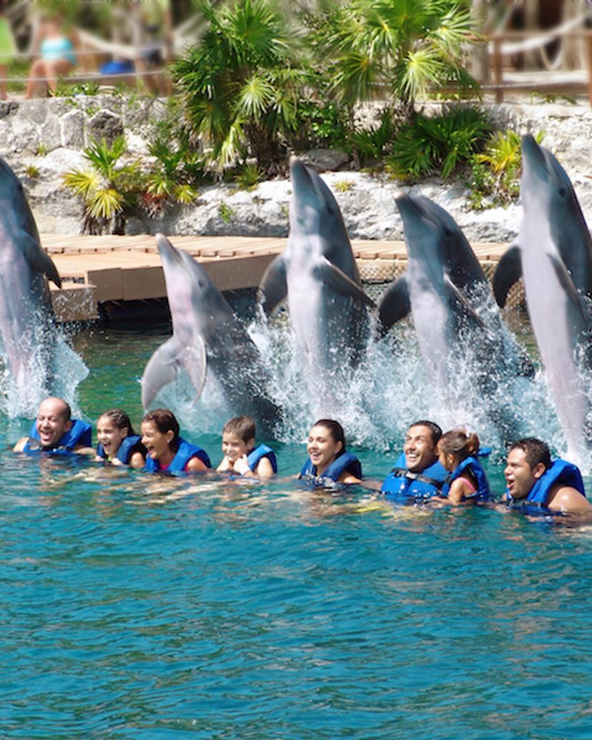 Swim with dolphins in Xel-Ha Park, a fun and exciting experience in Cancun, Yucatan Peninsula. Mexico.