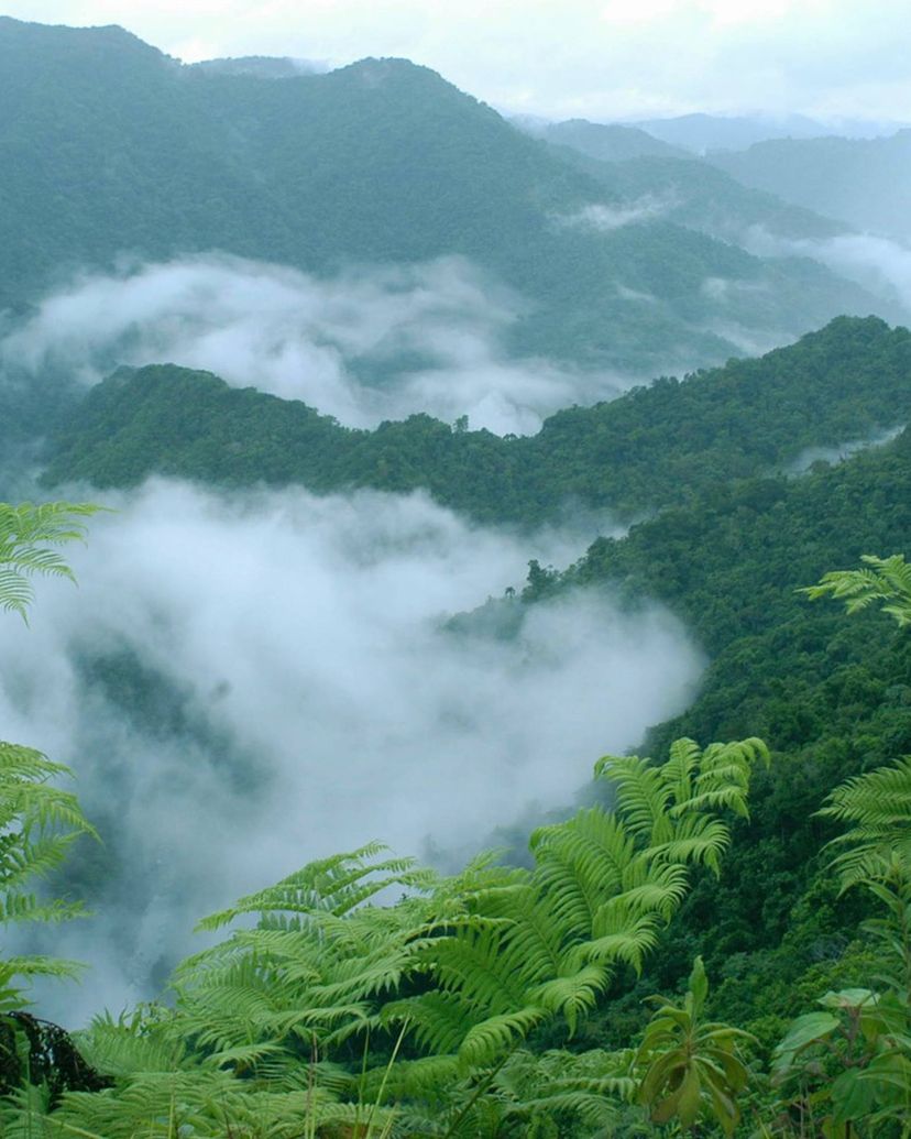 Alejandro de Humboldt National Park, Balcony of Iberia trail