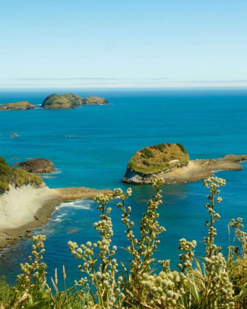 VISITE “ANCUD & PUÑIHUIL À L'ÎLE DE CHILOÉ”