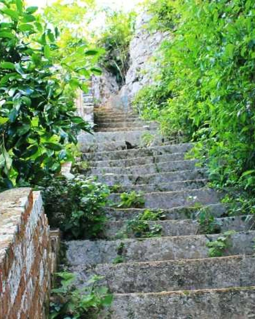 “Ruins of coffee plantations” Trail