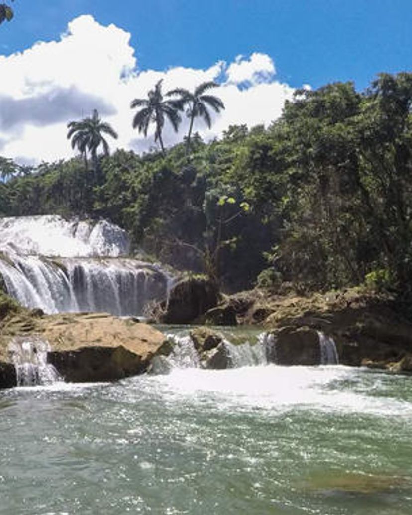 "Nature Tour Nicho-Trinidad in American Classic Car"