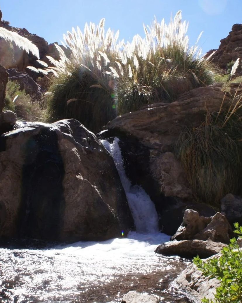 "TREKKING TO GUATÍN - PURITAMA" PREMIUM Tour, San Pedro de Atacama, Chile. 