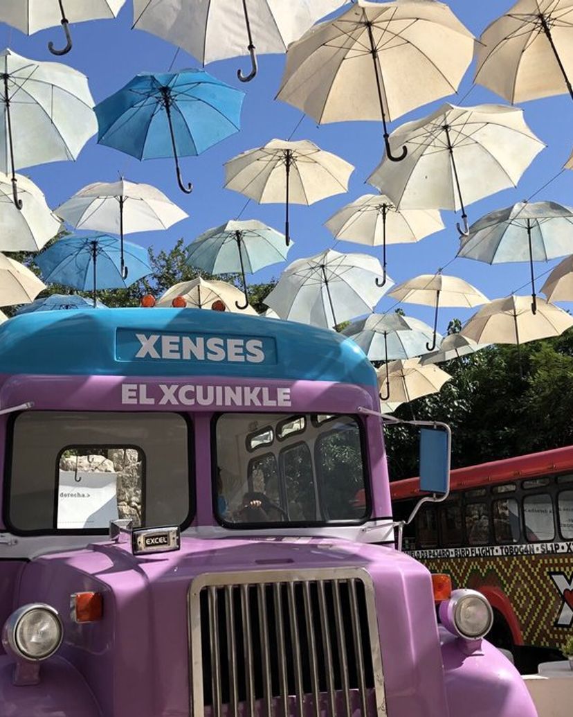 XENSES PARK Tour