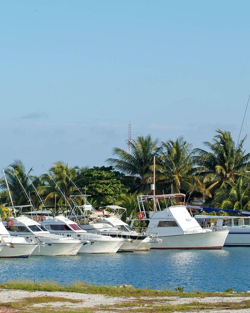 Cayo Guillermo Marlin International Marina panoramic view