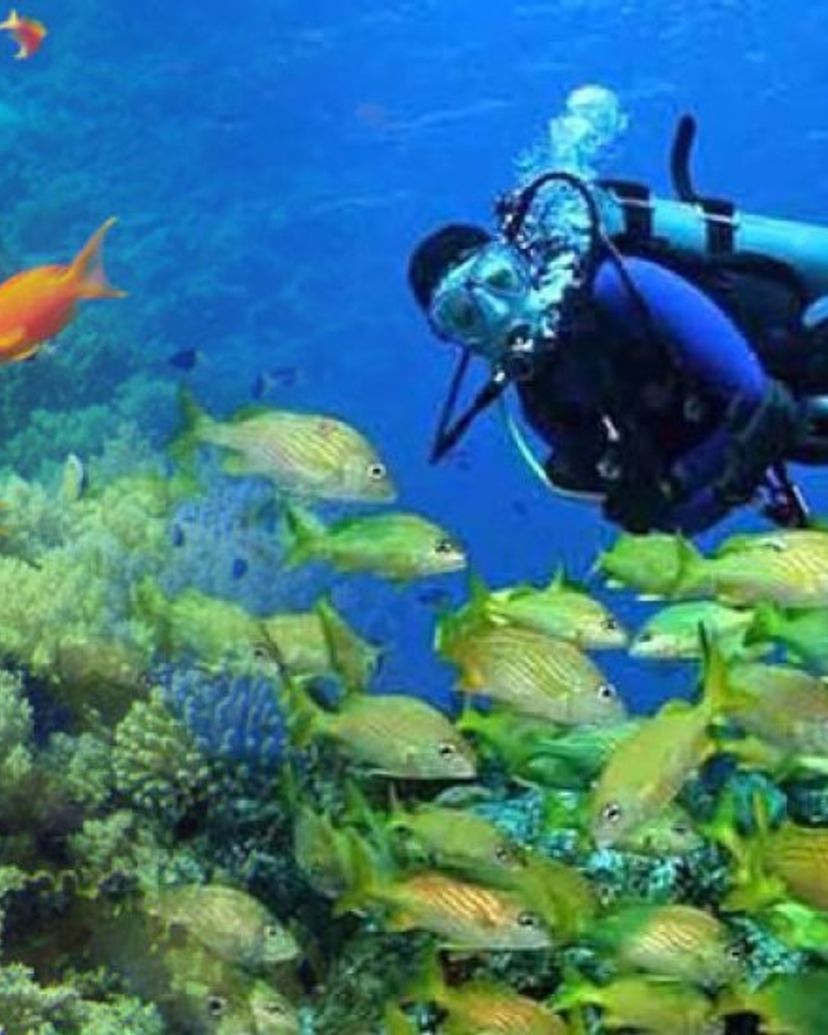 Diving in Albacora Dive Center in Marea del Portillo, Pilón, Granma, Cuba.