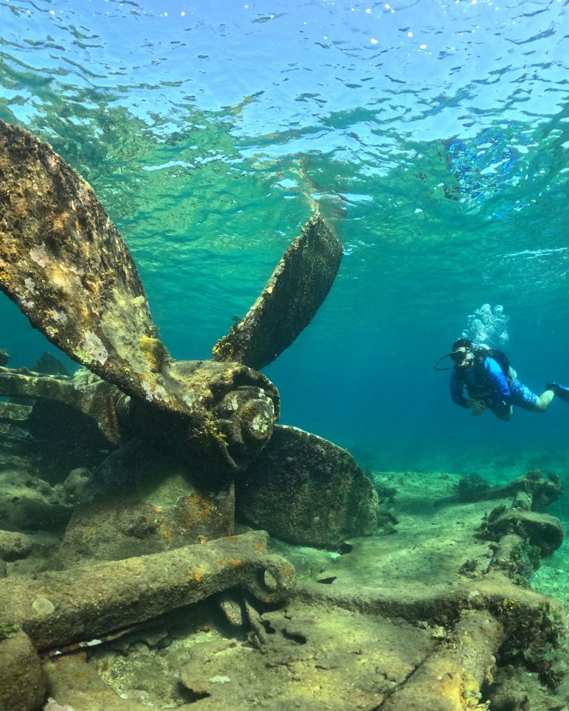 Excursión “BUCEO EN NAUFRAGIO DEL DAMUJI + PLAYA CORAL, CARBONERAS, MATANZAS“
