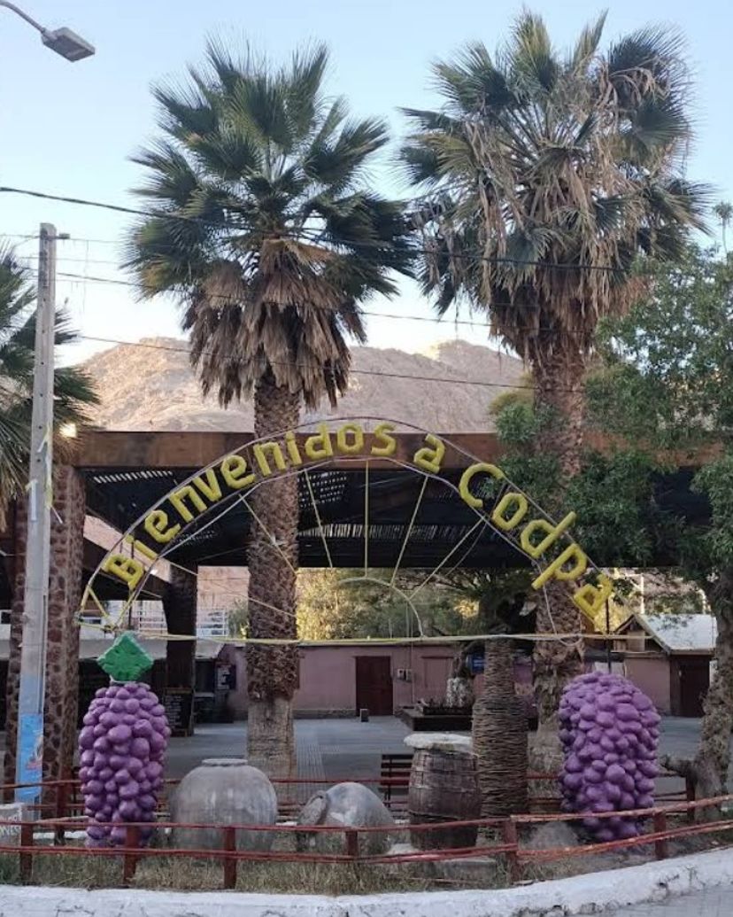 “OASIS OF CODPA AND PINTATANI" Tour