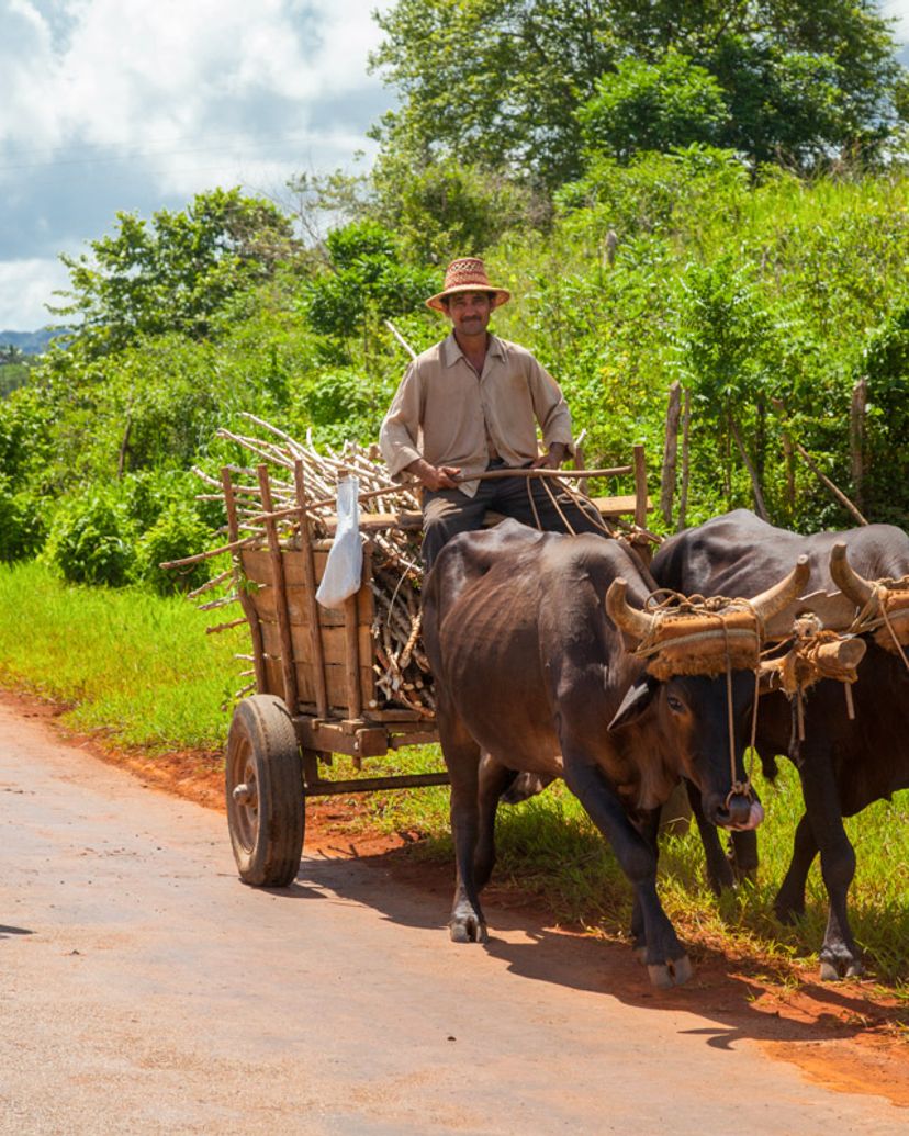 Cycling the Viñales Tour, Viñales valley National Park, declared a Cultural Heritage Site by UNESCO, Pinar del Río
