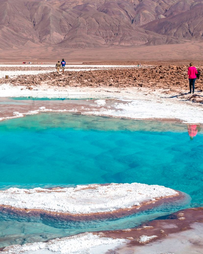 "BALTINACHE LAGOONS WITH APPETIZER" Tour, San Pedro de Atacama, Chile.