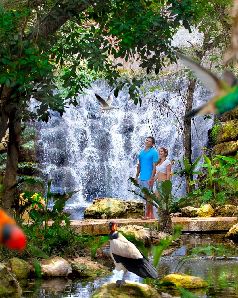 Xcaret Park, a place to have fun with its attractive attractions. Yucatan Peninsula, Mexico.