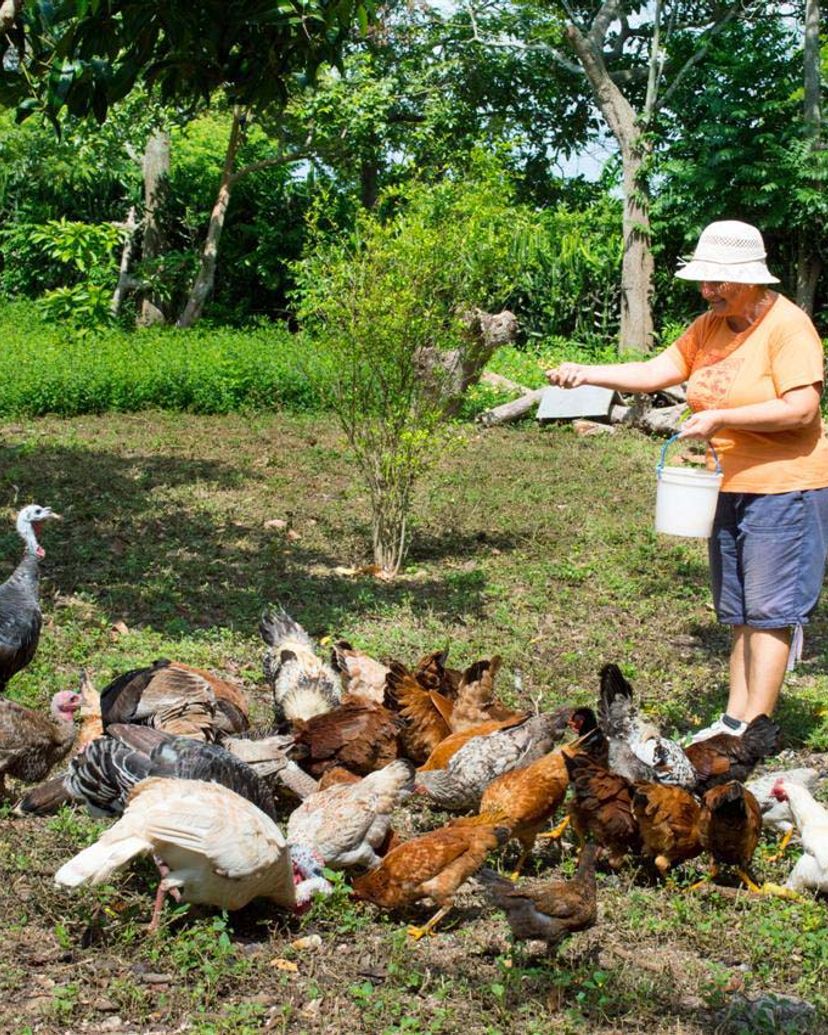 Peasant for a day tour, Camagüey