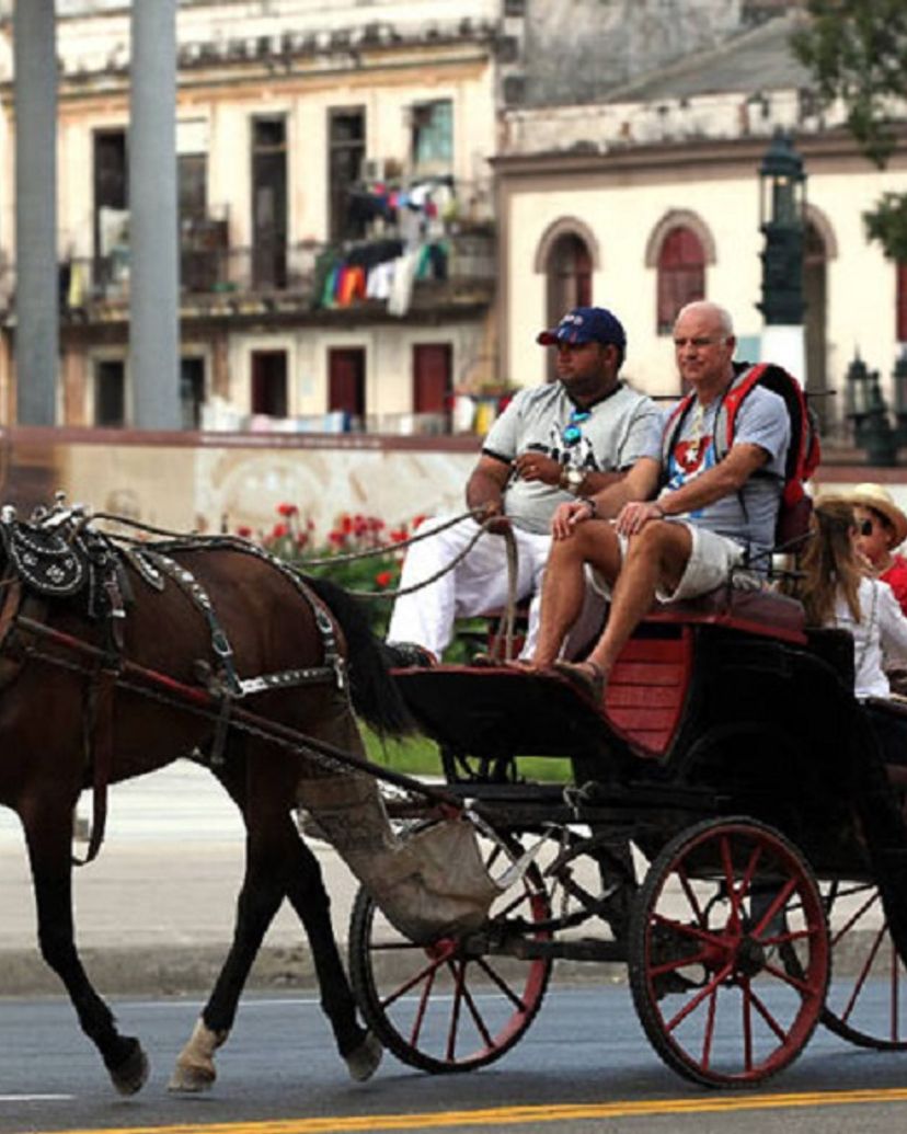 "HORSE CARRIAGE ROUTES IN HAVANA" Tour, Old Havana, Havana, Cuba.