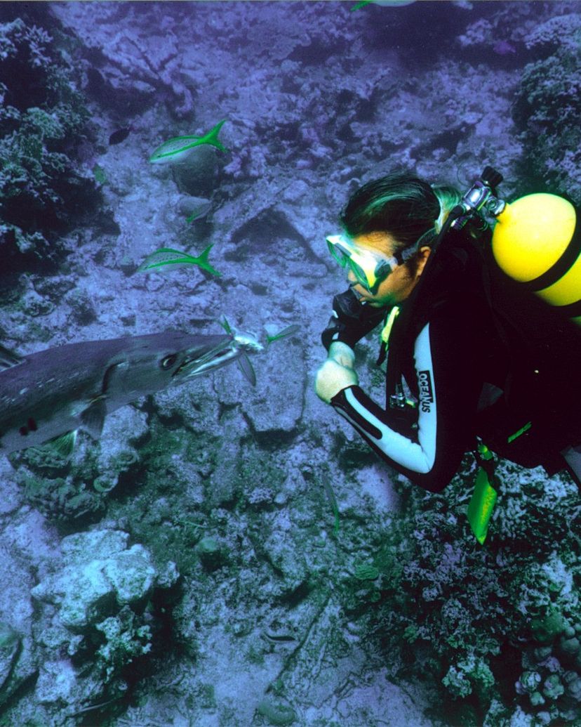 Scuba diving tour in Holguín
