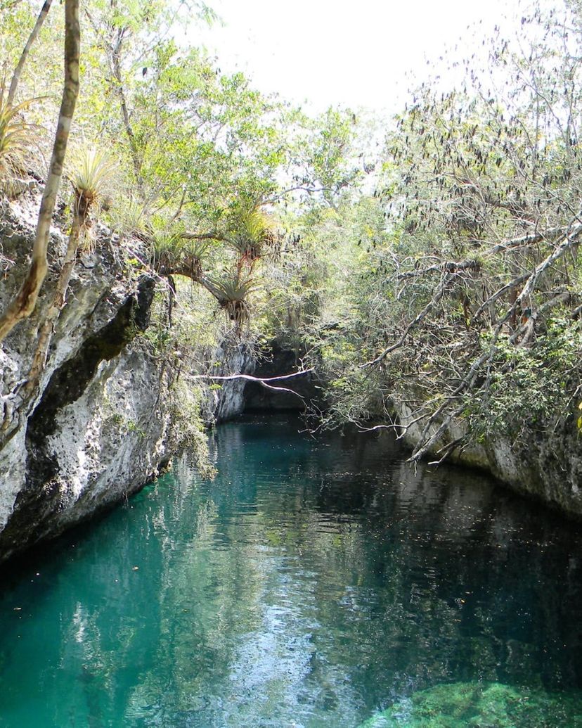"HIKING AND BIRD WATCHING AT ENIGMAS DE LAS ROCAS" Tour, Zapata peninsula, Matanzas, Cuba.