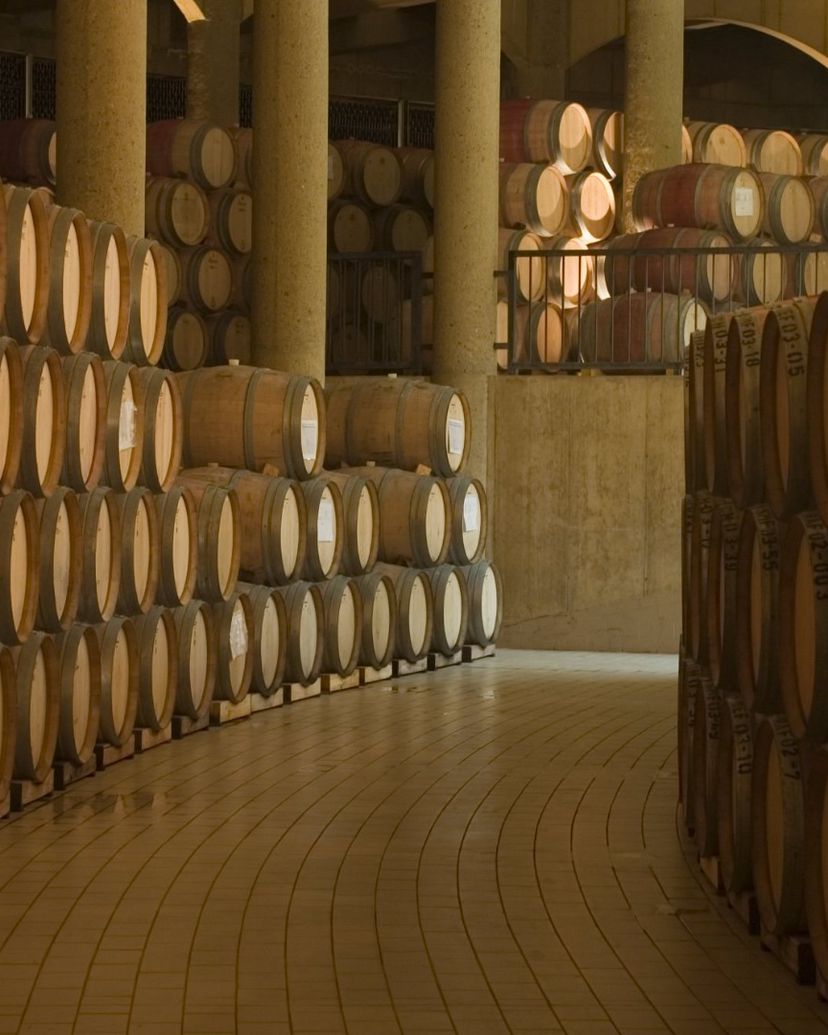“HARAS DE PIRQUE WINERY” Tour, Chile.