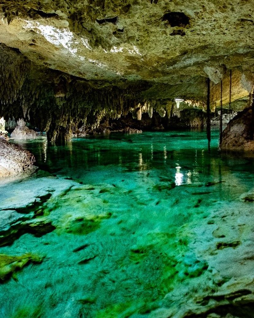 Cenote in Aktun Chen Park to refresh and relax in Tulum, Mexico.