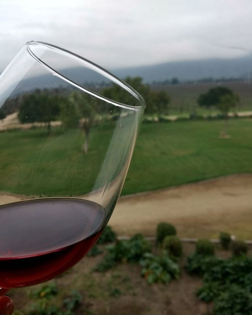 “CASABLANCA VALLEY WINE ROUTE” Tour, Chile.