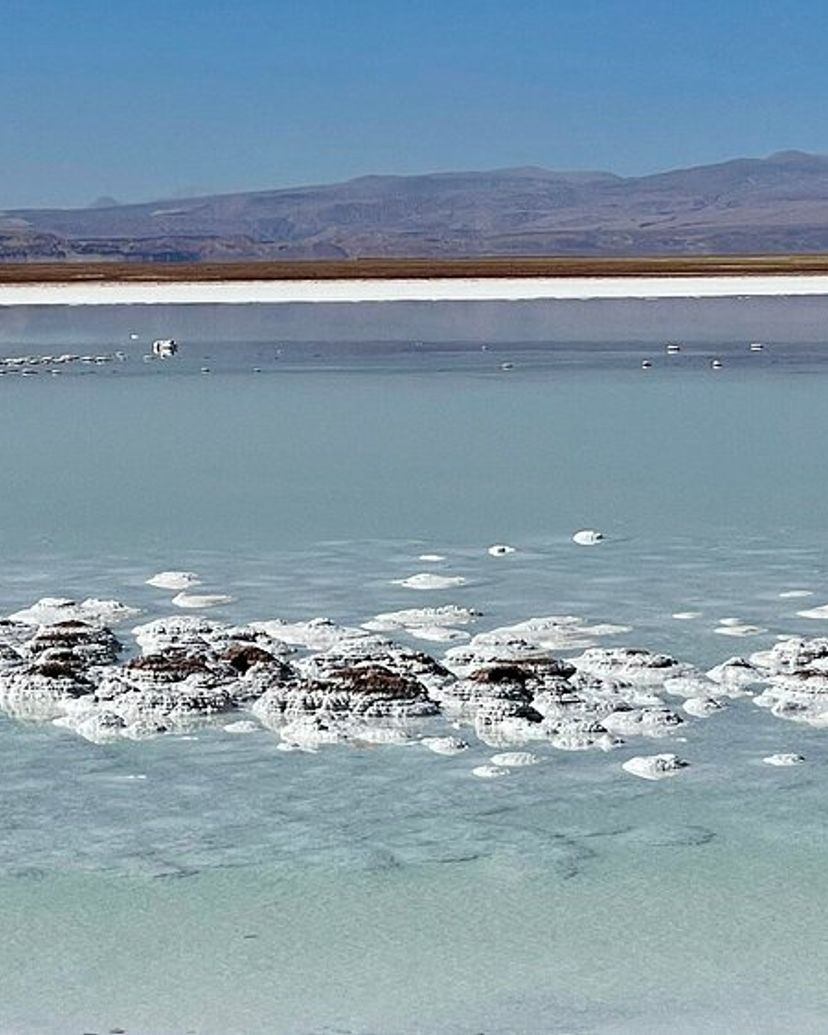 “CEJAR LAGOON, OJOS DEL SALAR AND TEBENQUICHE LAGOON" Tour