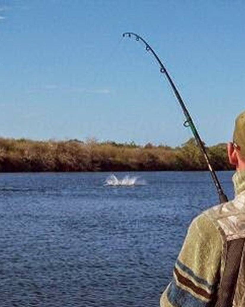 “SPORT FISHING IN ZAZA RIVER” Tour, Sancti Spíritus, Cuba.
