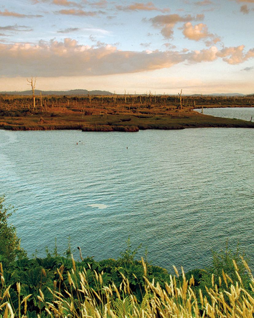 “KAYAK IN CHEPU & TREKKING IN THE FOREST” TOUR